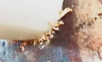 聚乙烯蠟